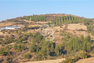 MESTANLARDA ÇİFTLİK VE HOBİ AMAÇLI (ARAÇ TAKASLI) UYGUN ARAZİ