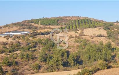 MESTANLARDA ÇİFTLİK VE HOBİ AMAÇLI (ARAÇ TAKASLI) UYGUN ARAZİ