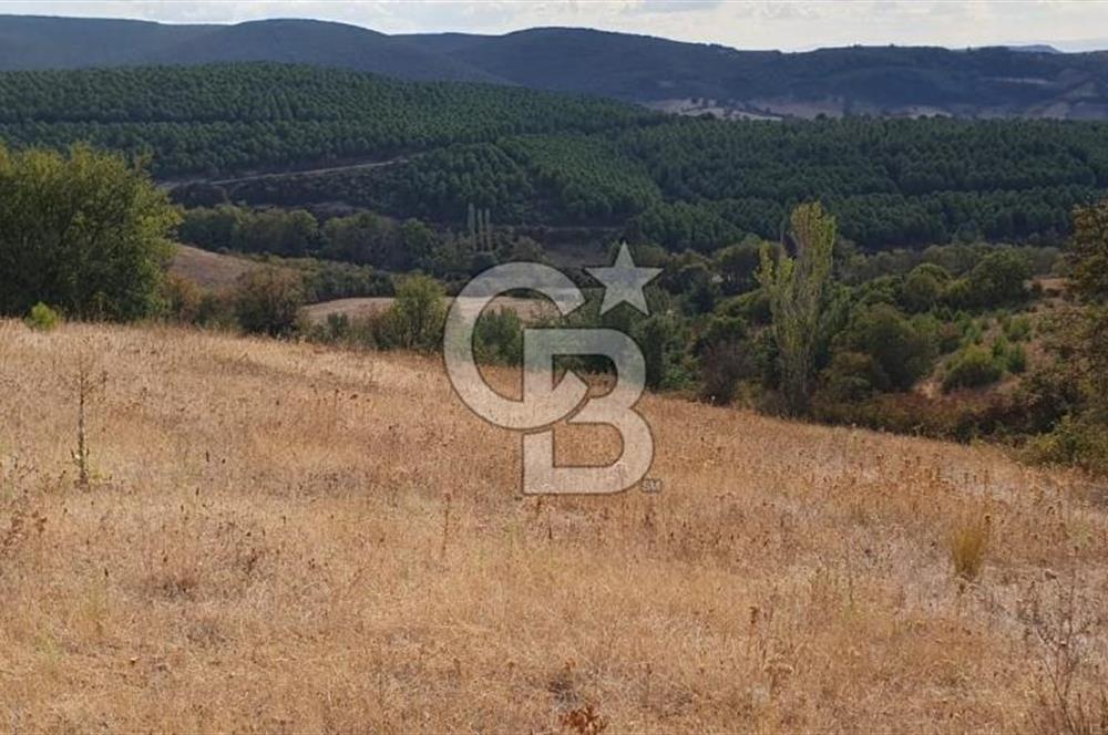 MESTANLARDA ÇİFTLİK VE HOBİ AMAÇLI (ARAÇ TAKASLI) UYGUN ARAZİ
