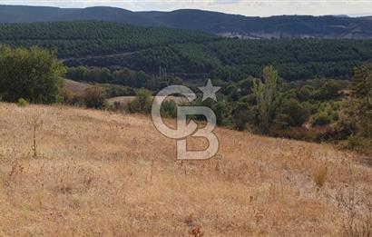 MESTANLARDA ÇİFTLİK VE HOBİ AMAÇLI (ARAÇ TAKASLI) UYGUN ARAZİ