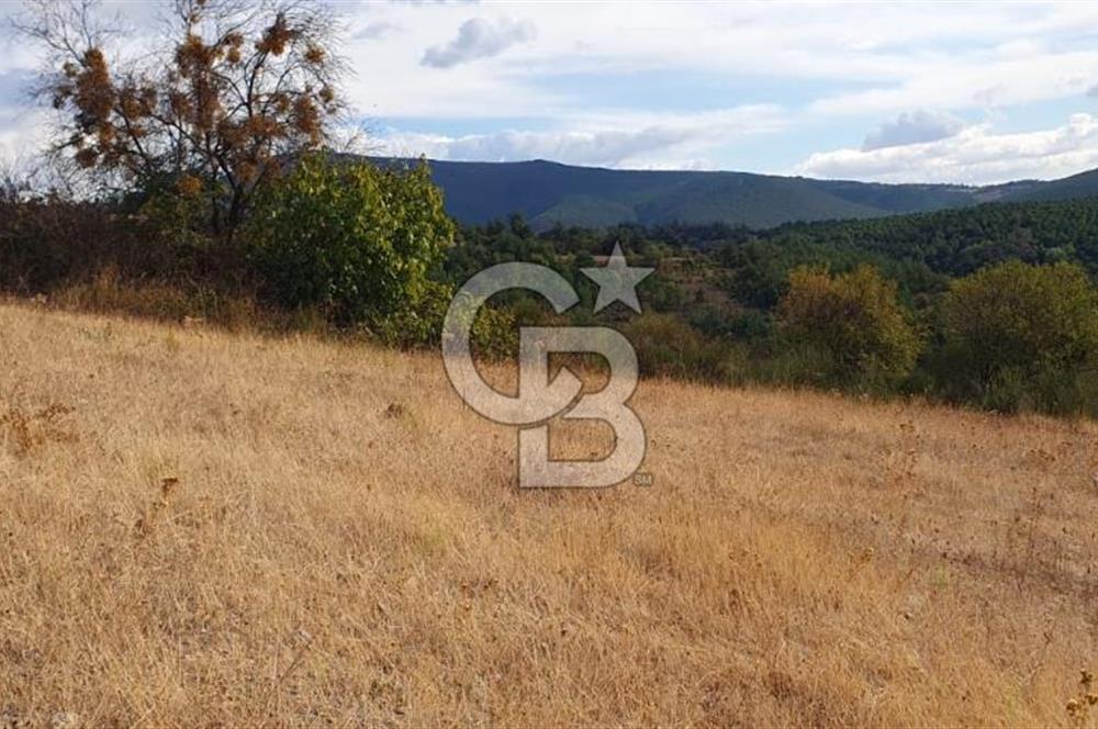 MESTANLARDA ÇİFTLİK VE HOBİ AMAÇLI (ARAÇ TAKASLI) UYGUN ARAZİ
