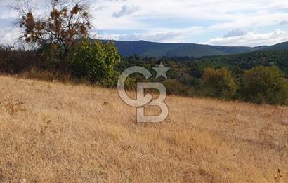 MESTANLARDA ÇİFTLİK VE HOBİ AMAÇLI (ARAÇ TAKASLI) UYGUN ARAZİ