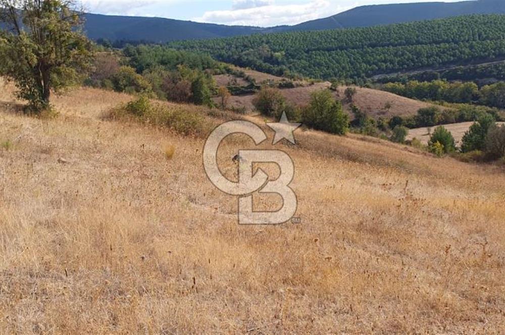 MESTANLARDA ÇİFTLİK VE HOBİ AMAÇLI (ARAÇ TAKASLI) UYGUN ARAZİ