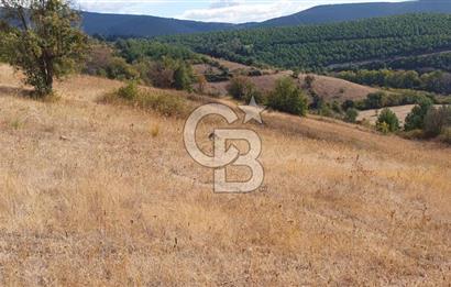 MESTANLARDA ÇİFTLİK VE HOBİ AMAÇLI (ARAÇ TAKASLI) UYGUN ARAZİ