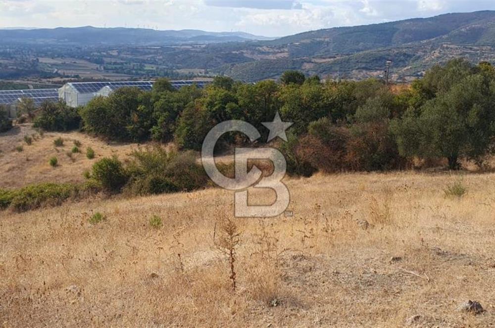 MESTANLARDA ÇİFTLİK VE HOBİ AMAÇLI (ARAÇ TAKASLI) UYGUN ARAZİ