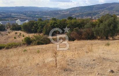 MESTANLARDA ÇİFTLİK VE HOBİ AMAÇLI (ARAÇ TAKASLI) UYGUN ARAZİ