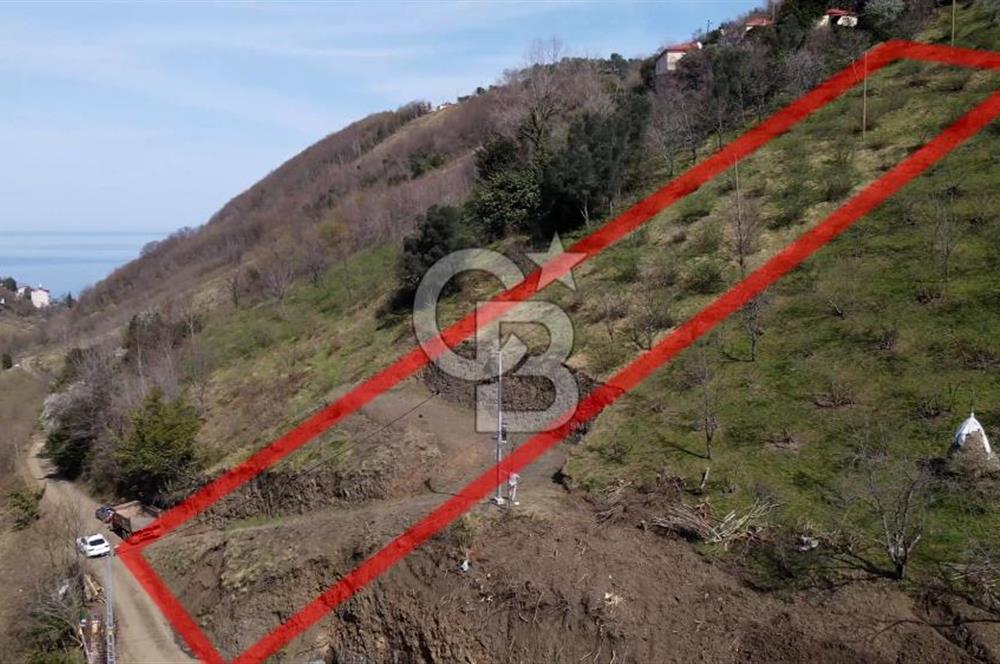 AKÇAABAT MERSİN YOLA CEPHE VİLLALIK SATILIK TARLA