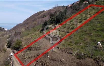 AKÇAABAT MERSİN YOLA CEPHE VİLLALIK SATILIK TARLA