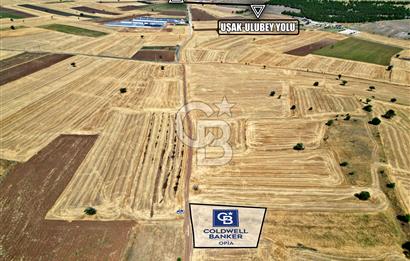 CB OPİA'DAN 'ELMACIKTA UYGUN FİYATLI, YÜKSEK POTANSİYELLİ TARLA'
