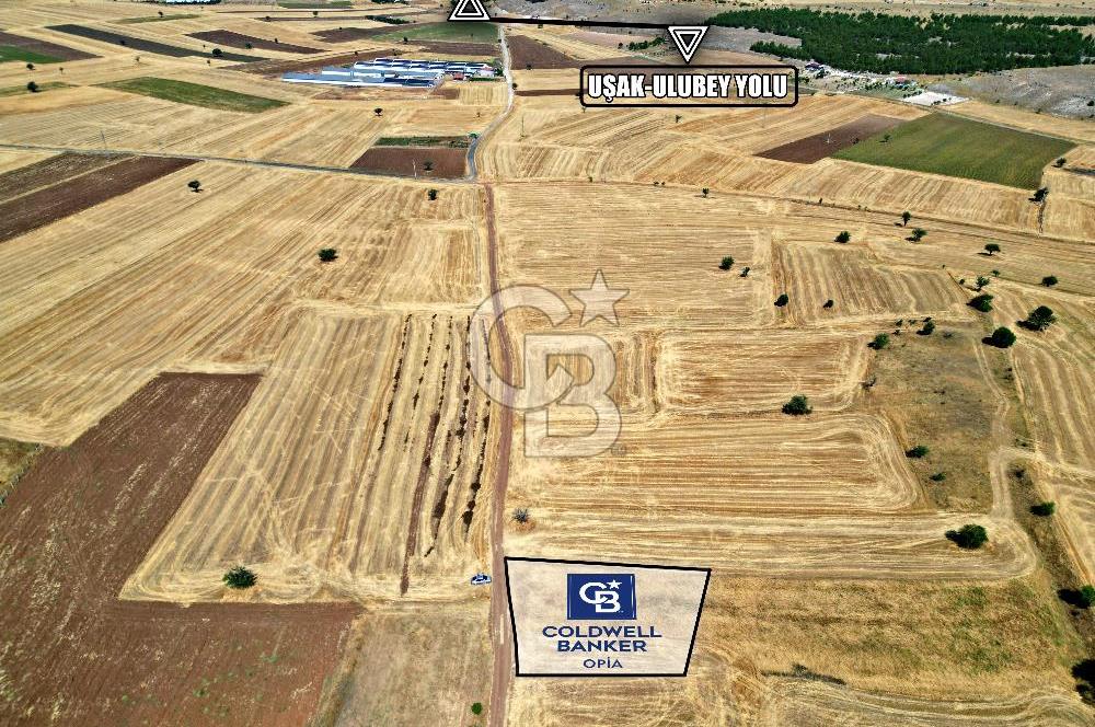 CB OPİA'DAN 'ELMACIKTA UYGUN FİYATLI, YÜKSEK POTANSİYELLİ TARLA'
