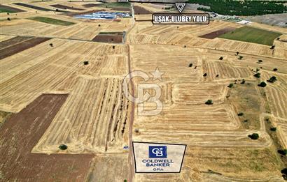 CB OPİA'DAN 'ELMACIKTA UYGUN FİYATLI, YÜKSEK POTANSİYELLİ TARLA'