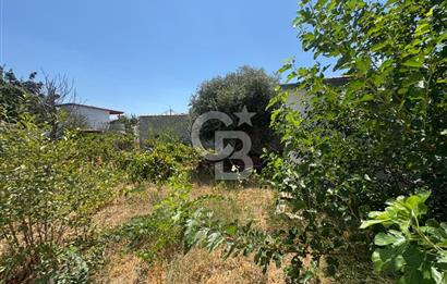GÖKÇEADA ŞİRİNKÖY 3+1 İÇİ YENİLENMİŞ GENİŞ BAHÇELİ MÜSTAKİL EV