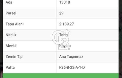 İMAR SINIRINDA AVANTAJLI YATIRIM İÇİN SATILIK TARLA