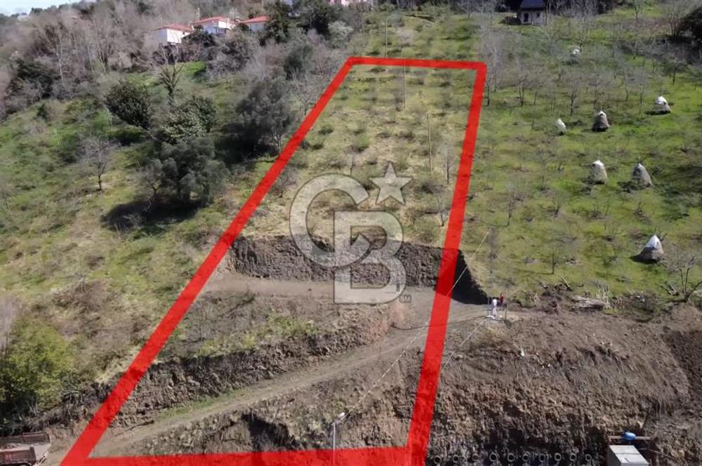 AKÇAABAT MERSİN YOLA CEPHE VİLLALIK SATILIK TARLA