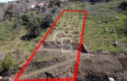 AKÇAABAT MERSİN YOLA CEPHE VİLLALIK SATILIK TARLA