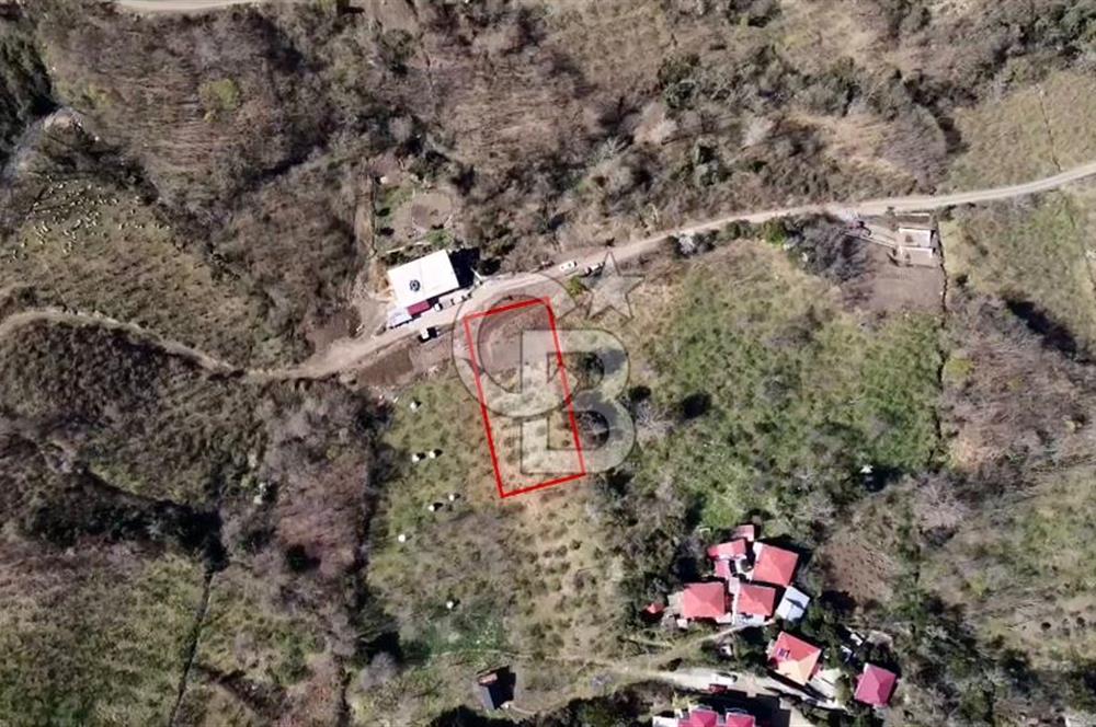 AKÇAABAT MERSİN YOLA CEPHE VİLLALIK SATILIK TARLA