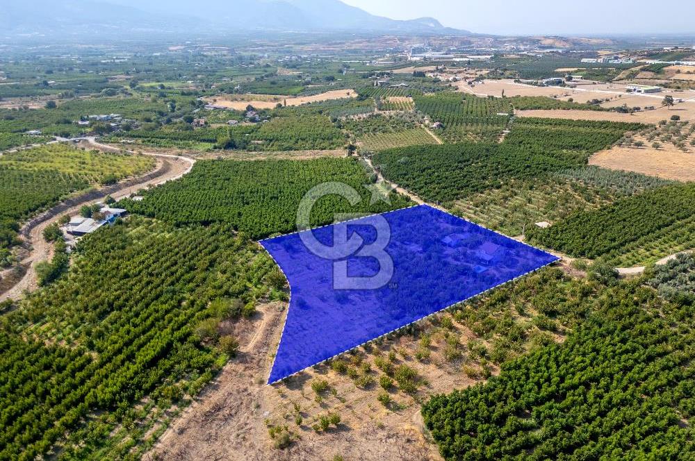 KEMALPAŞA BAĞYURDU YENİ SATILIK 14562 M2 BAĞ VE 3+1 BAĞ EVİ