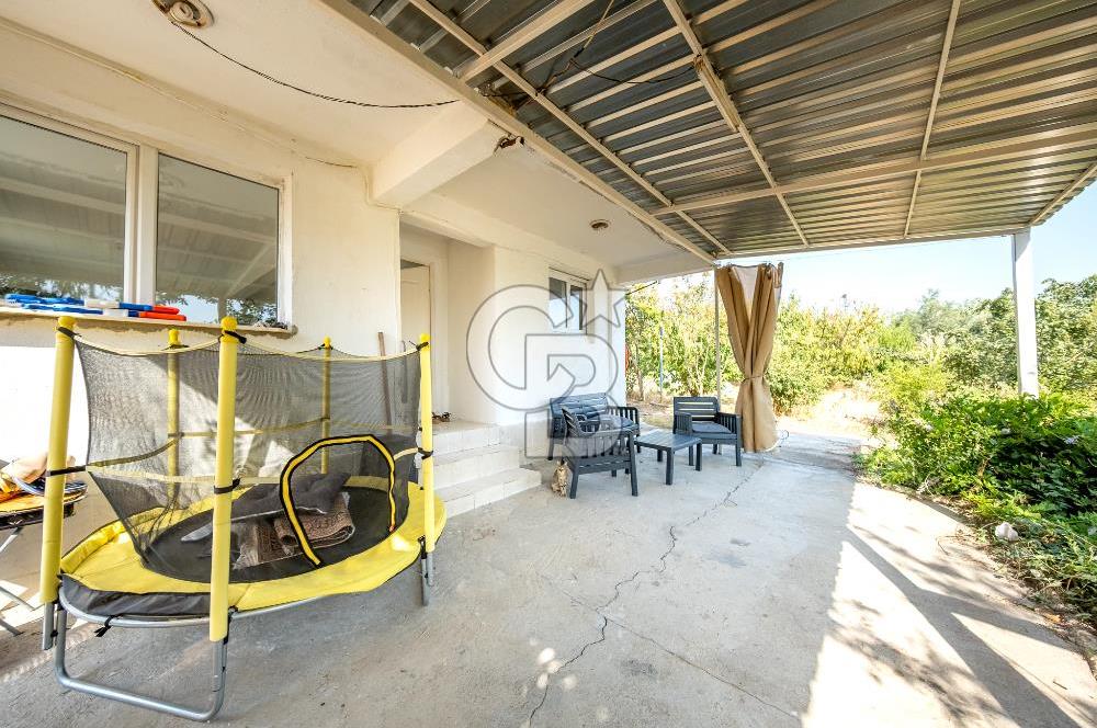 KEMALPAŞA BAĞYURDU YENİ SATILIK 14562 M2 BAĞ VE 3+1 BAĞ EVİ