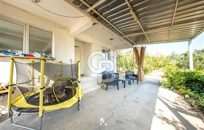 KEMALPAŞA BAĞYURDU YENİ SATILIK 14562 M2 BAĞ VE 3+1 BAĞ EVİ