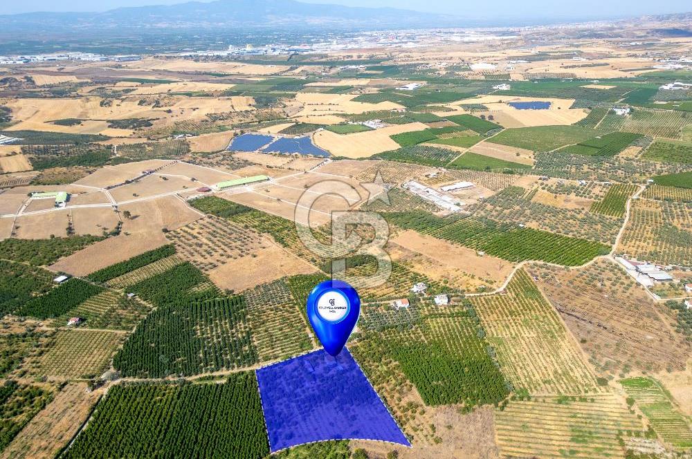 KEMALPAŞA BAĞYURDU YENİ SATILIK 14562 M2 BAĞ VE 3+1 BAĞ EVİ