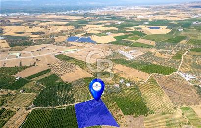 KEMALPAŞA BAĞYURDU YENİ SATILIK 14562 M2 BAĞ VE 3+1 BAĞ EVİ