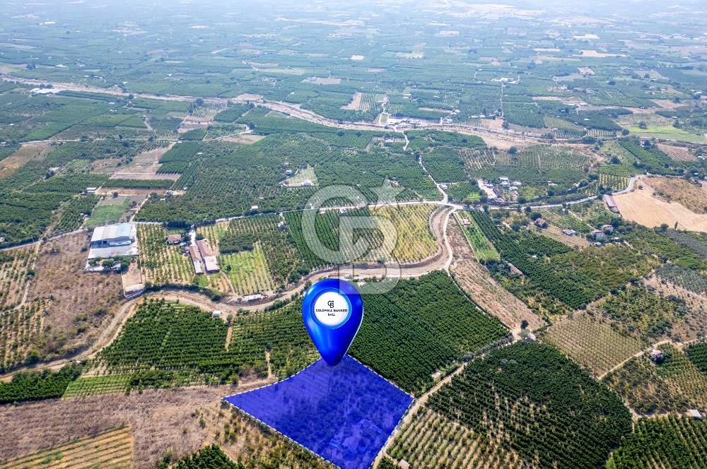 KEMALPAŞA BAĞYURDU YENİ SATILIK 14562 M2 BAĞ VE 3+1 BAĞ EVİ