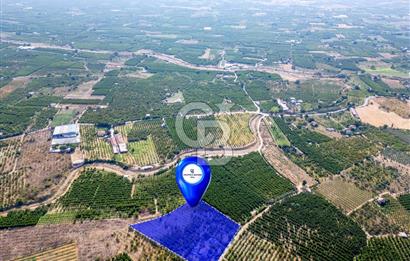 KEMALPAŞA BAĞYURDU YENİ SATILIK 14562 M2 BAĞ VE 3+1 BAĞ EVİ