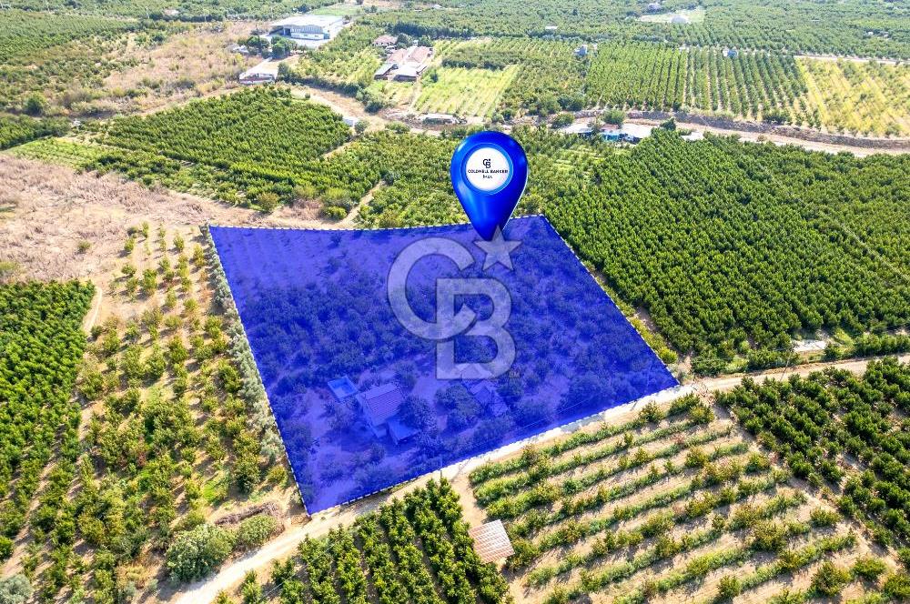KEMALPAŞA BAĞYURDU YENİ SATILIK 14562 M2 BAĞ VE 3+1 BAĞ EVİ