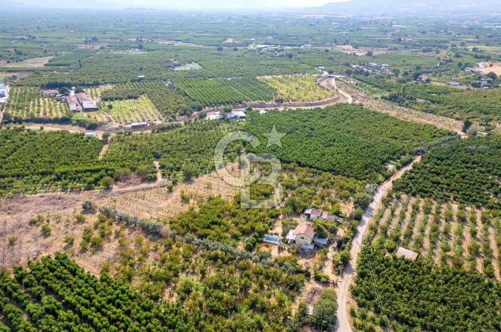 KEMALPAŞA BAĞYURDU YENİ SATILIK 14562 M2 BAĞ VE 3+1 BAĞ EVİ