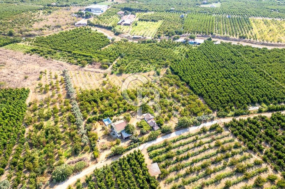 KEMALPAŞA BAĞYURDU YENİ SATILIK 14562 M2 BAĞ VE 3+1 BAĞ EVİ