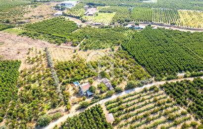KEMALPAŞA BAĞYURDU YENİ SATILIK 14562 M2 BAĞ VE 3+1 BAĞ EVİ