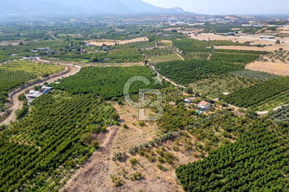 KEMALPAŞA BAĞYURDU YENİ SATILIK 14562 M2 BAĞ VE 3+1 BAĞ EVİ