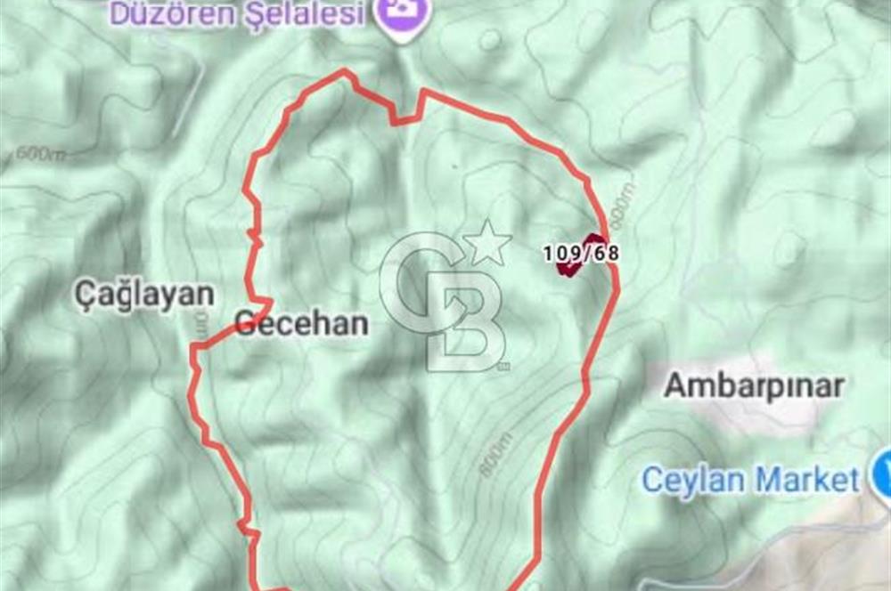 SAMSUN, CANİK, GECEHAN, 14.200.05 METREKARE TARLA