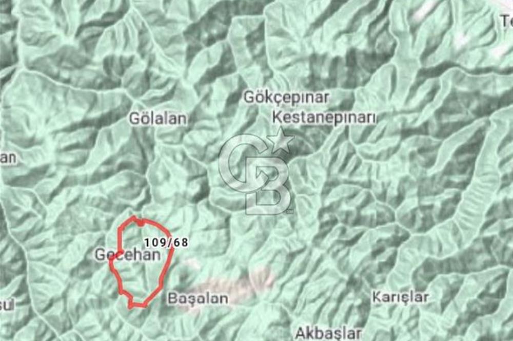 SAMSUN, CANİK, GECEHAN, 14.200.05 METREKARE TARLA