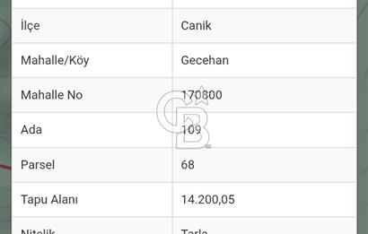 SAMSUN, CANİK, GECEHAN, 14.200.05 METREKARE TARLA
