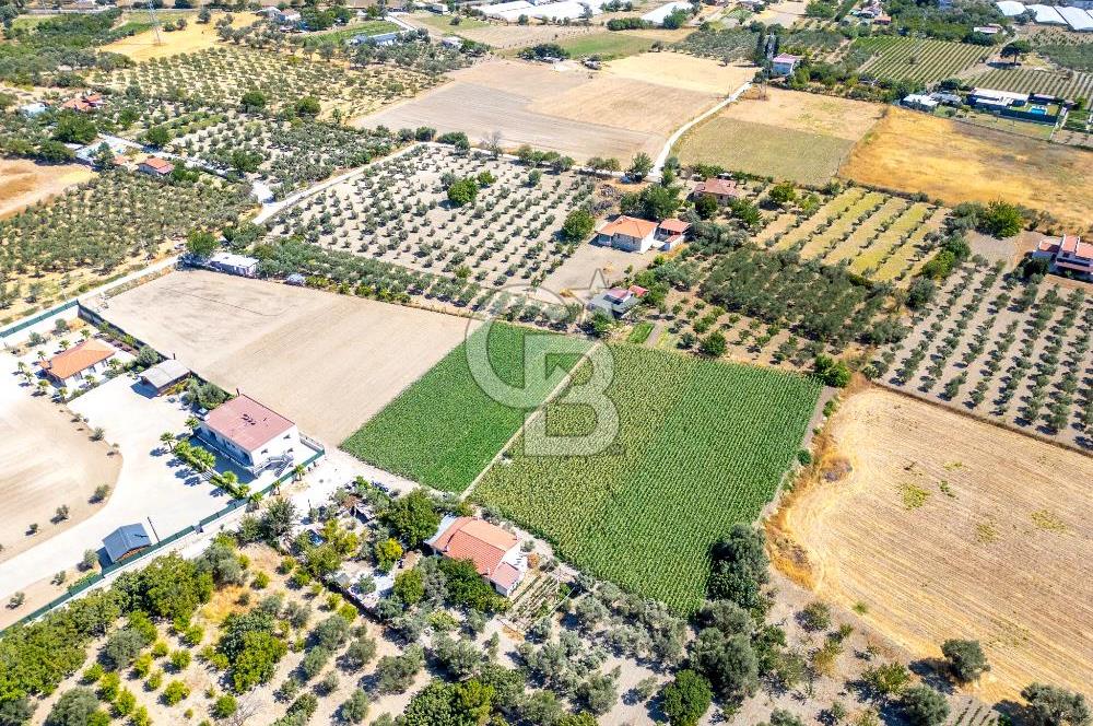 URLA SIRA MAH. 11.155 M2 SATILIK ARAZİ