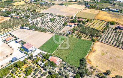 URLA SIRA MAH. 11.155 M2 SATILIK ARAZİ