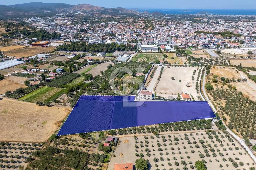 URLA SIRA MAH. 11.155 M2 SATILIK ARAZİ