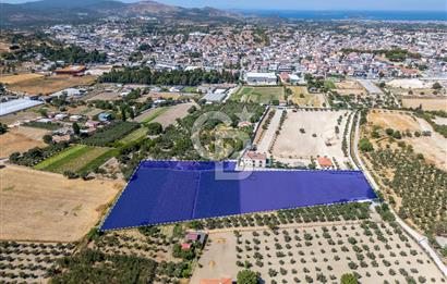 URLA SIRA MAH. 11.155 M2 SATILIK ARAZİ