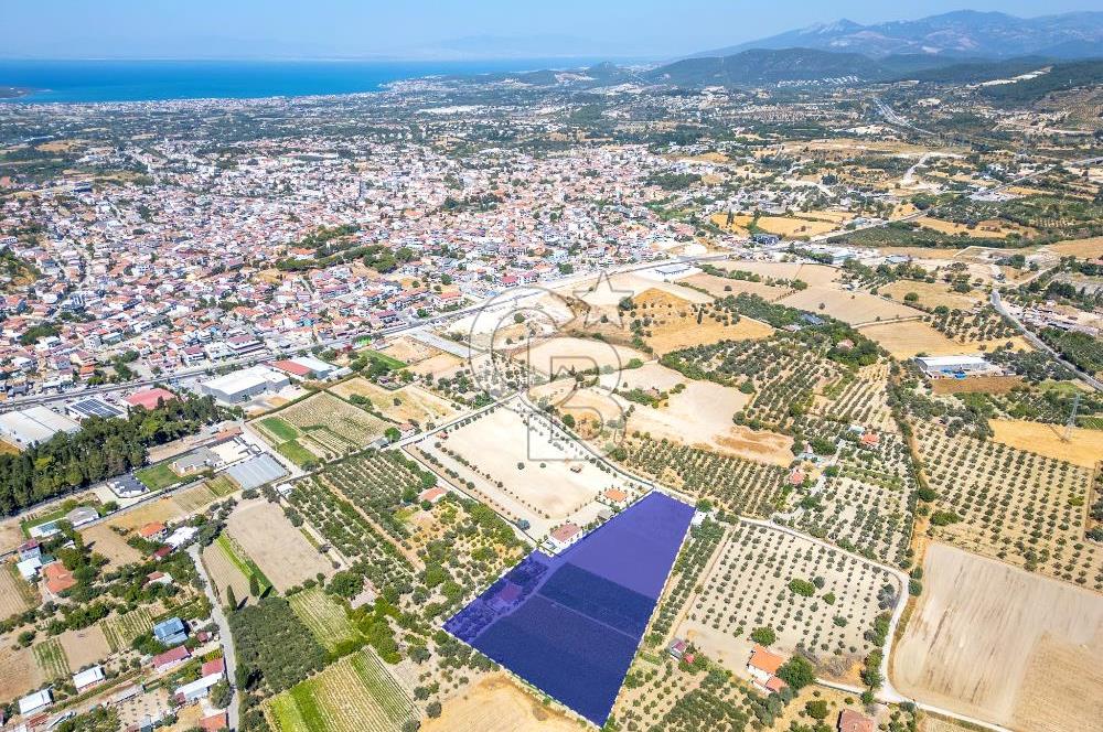 URLA SIRA MAH. 11.155 M2 SATILIK ARAZİ