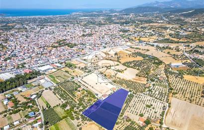 URLA SIRA MAH. 11.155 M2 SATILIK ARAZİ