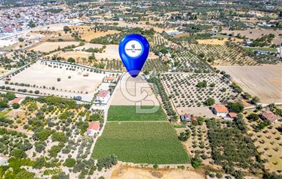 URLA SIRA MAH. 11.155 M2 SATILIK ARAZİ