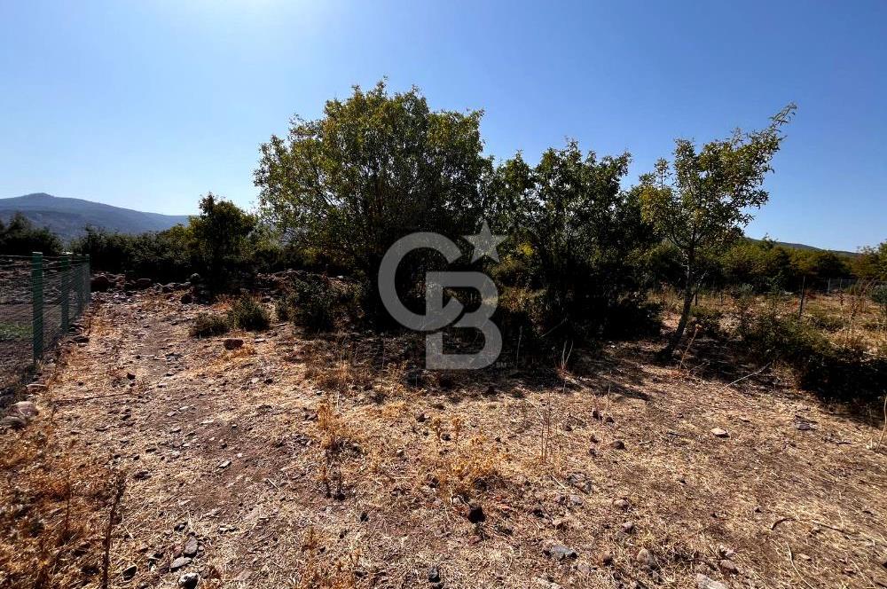 JASSE'DEN ALİAĞA'DA SATILIK ARSA