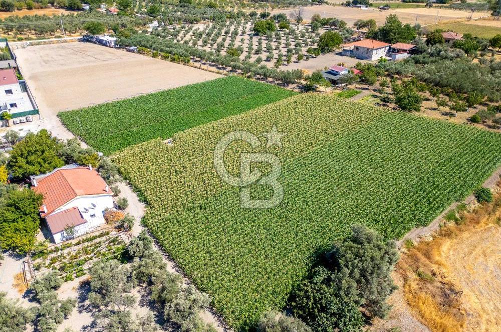 URLA SIRA MAH. 11.155 M2 SATILIK ARAZİ