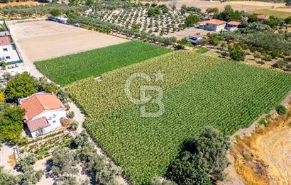 URLA SIRA MAH. 11.155 M2 SATILIK ARAZİ