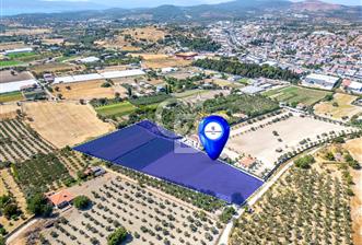 URLA SIRA MAH. 11.155 M2 SATILIK ARAZİ