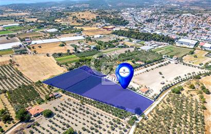 URLA SIRA MAH. 11.155 M2 SATILIK ARAZİ