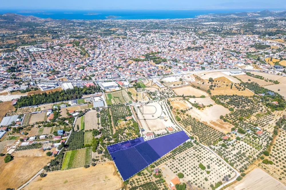 URLA SIRA MAH. 11.155 M2 SATILIK ARAZİ