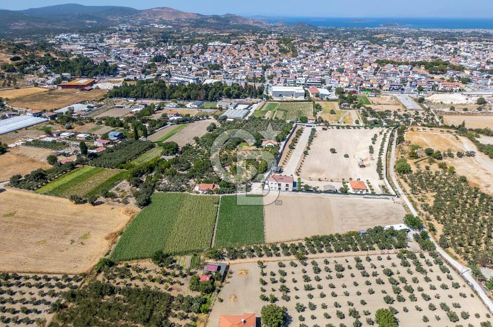 URLA SIRA MAH. 11.155 M2 SATILIK ARAZİ