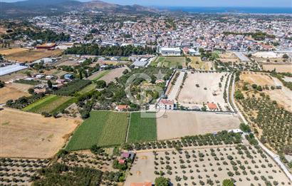 URLA SIRA MAH. 11.155 M2 SATILIK ARAZİ